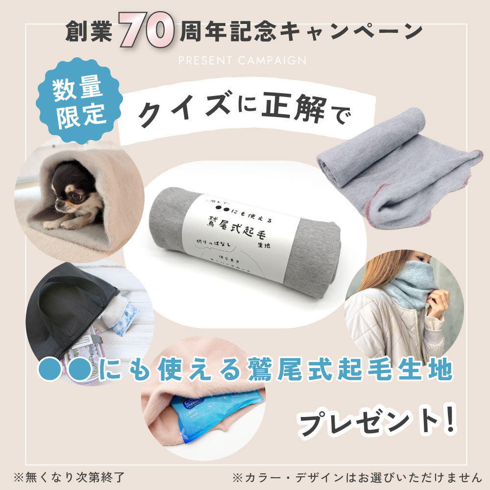 70周年記念 クイズ応募