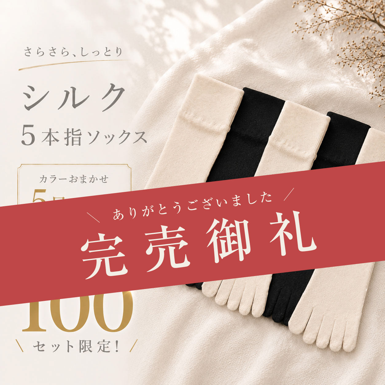 さらさらしっとりシルク5本指ソックス＜カラーおまかせ 5足セット＞
