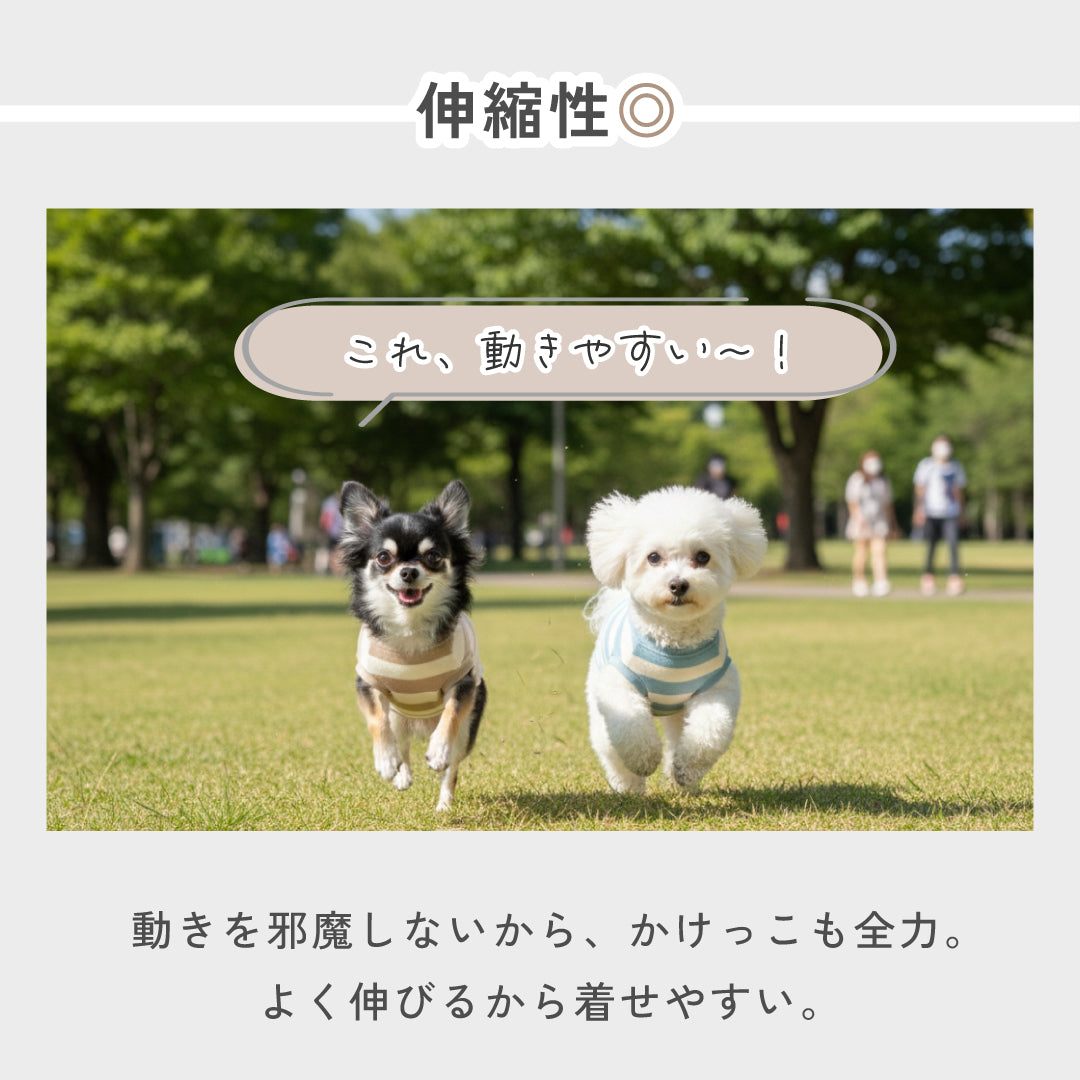 もちはだ もちもちドッグウェア