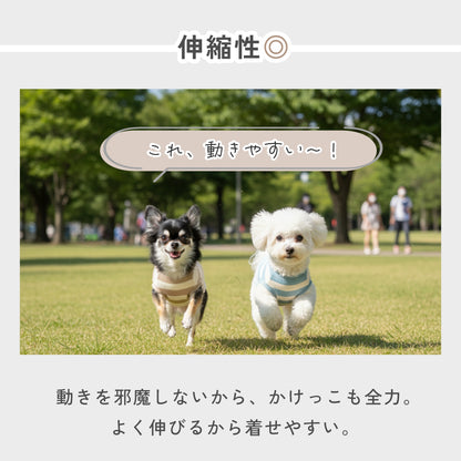 もちはだ もちもちドッグウェア