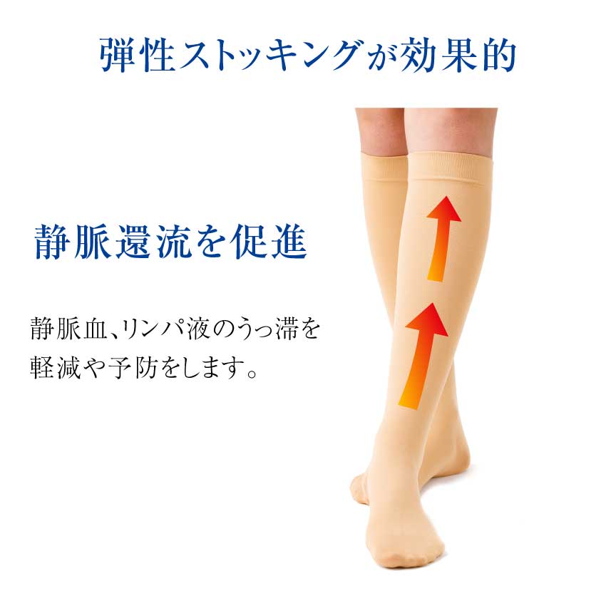 東光 防災用弾性ストッキング ハイソックス