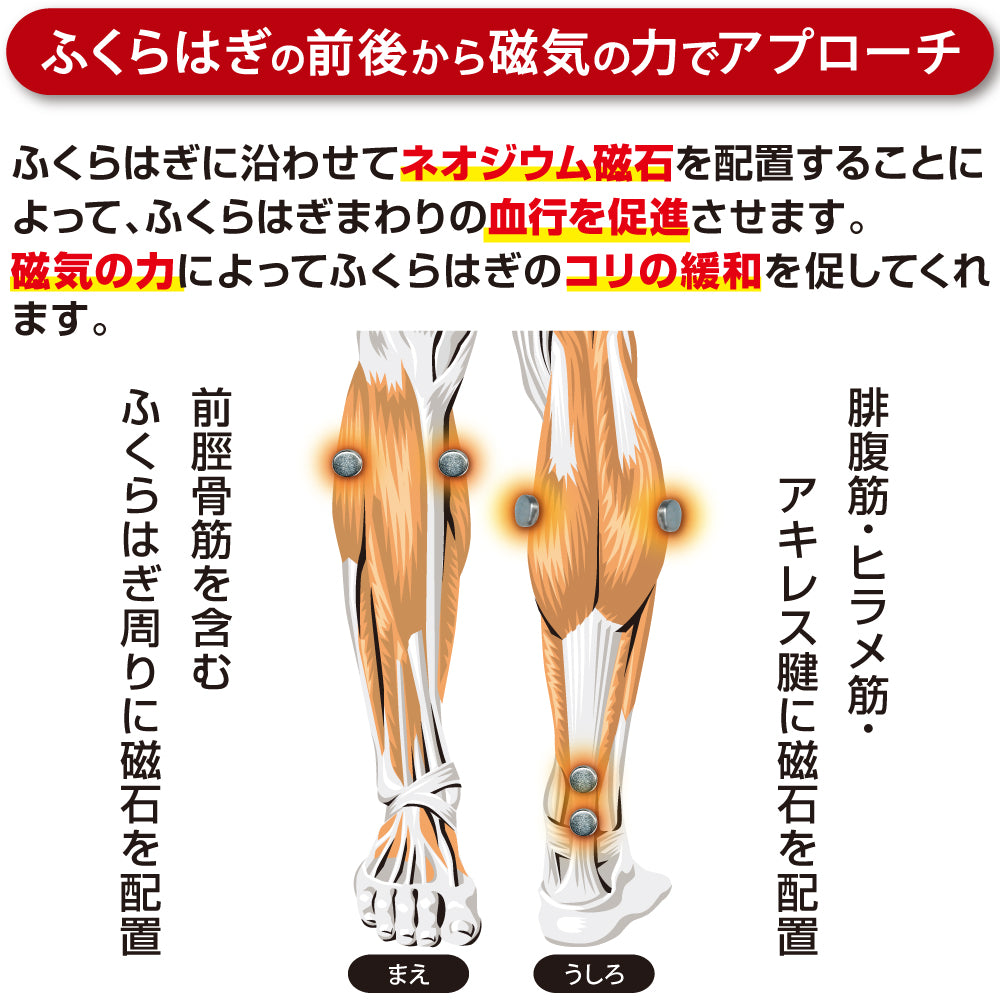 磁気サポーター[ふくらはぎ用2枚]